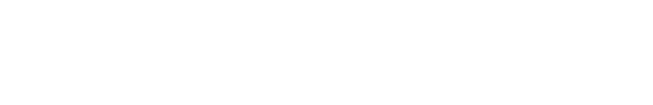 hoSysteme-Logo-light